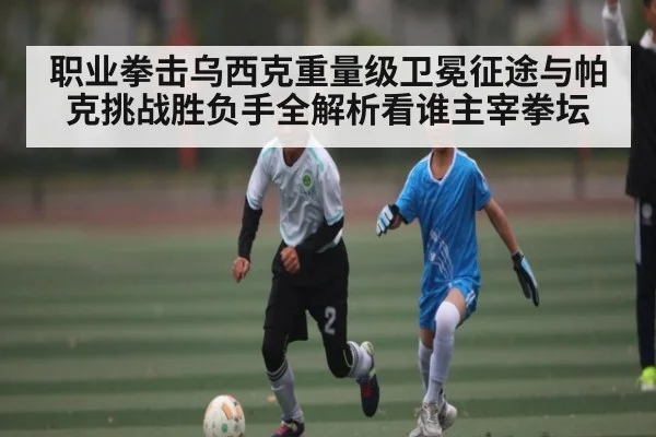 职业拳击乌西克重量级卫冕征途与帕克挑战胜负手全解析看谁主宰拳坛